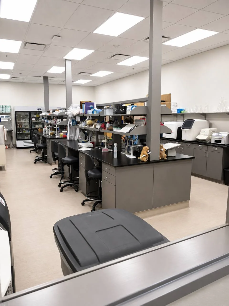 Wide view of the GIH laboratory with benches, instruments, and controlled work areas